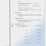 Kassenprüfung Vorlage Bewundernswert Satzung Gemeinnütziger Verein