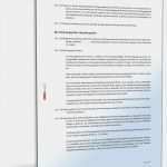 Kassenprüfung Vorlage Neu Statut Des Vereins Muster Vorlage Zum Download