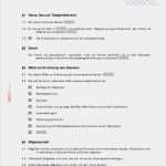 Kassenprüfung Vorlage Schönste Statut Des Vereins Muster Vorlage Zum Download