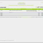 Kassensturz Vorlage Hübsch Stammdaten Excel Vorlage – De Excel