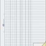 Kassentagesbericht Vorlage Wunderbar 9 Kassenbuch Vordruck