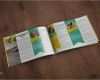Katalog Design Vorlagen Elegant 16 Besten Design Vorlagen Für Zeitungen Magazine Und