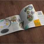 Katalog Design Vorlagen Erstaunlich 16 Besten Design Vorlagen Für Zeitungen Magazine Und