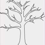 Katalog Erstellen Vorlage Wunderbar Adventsfenster Vorlagen Kaufen Weihnachtsbaum Vorlage