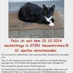 Katze Entlaufen Flyer Vorlage Elegant Vermisst
