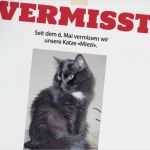 Katze Vermisst Suchplakat Vorlage Großartig Hilfe Unser Büsi ist Weg