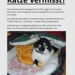 Suchplakat Erstellen Katze / Meldung-Nr. 231'672: Gefunden Katze in 6252 Dagmersellen / Wenn er morgen nicht wieder da ist, rate ich dir dringend.