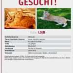 Katze Vermisst Suchplakat Vorlage Luxus 22 Großartig Katze Vermisst Vorlage Ideen