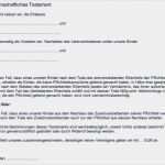 Katze Vermisst Vorlage Beste Die Fabelhaften Berliner Testament Vorlage Kostenlos Pdf