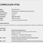 Katze Vermisst Vorlage Cool Vorlage Englischer Lebenslauf Papacfo