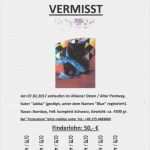 Katze Vermisst Vorlage Einzigartig Vermisst