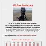 Katze Vermisst Vorlage Erstaunlich Vermisst