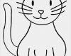 Katzen Masken Vorlagen Beste Katzen Ausmalbilder Dekoking 2