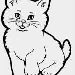 Katzen Masken Vorlagen Erstaunlich Die Besten 25 Ausmalbilder Katzen Ideen Auf Pinterest