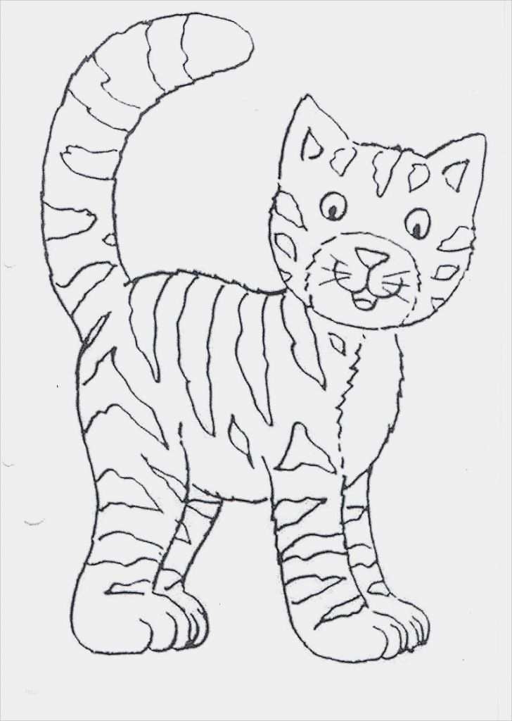 Katzen Masken Vorlagen Fabelhaft Katze Ausmalbild – Ausmalbilder Für