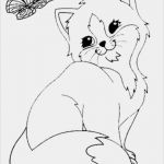 Katzen Masken Vorlagen Gut Die Besten 25 Ausmalbilder Katzen Ideen Auf Pinterest