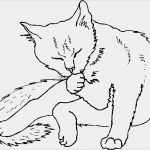 Katzen Masken Vorlagen Luxus Katze Putzt Sich Ausmalbild & Malvorlage Tiere