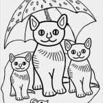 Katzen Masken Vorlagen Neu Ausmalbilder Kostenlos Katze 4