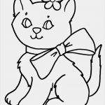 Katzen Masken Vorlagen Süß Katzen Ausmalbilder ⋆ Dekoking Diy Bastelideen