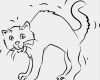 Katzen Schutzvertrag Vorlage Elegant Katze Mit Buckel Ausmalbilder Tiere