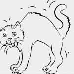 Katzen Schutzvertrag Vorlage Elegant Katze Mit Buckel Ausmalbilder Tiere