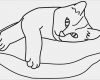Katzen Schutzvertrag Vorlage Fabelhaft Katzenfreund Windowcolor Bilder Zum thema Katzen