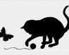 Katzen Schutzvertrag Vorlage Fabelhaft Wandtattoo Katze Samtpfote Silly Tiere