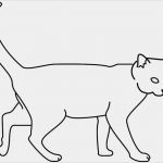 Katzen Schutzvertrag Vorlage Neu Barch Ausmalbild Katze