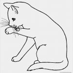 Katzen Schutzvertrag Vorlage Wunderbar Lovecat