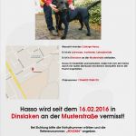Katzen Vermisstenanzeige Vorlage Best Of Suchplakate Für Vermisste Tiere Zum Drucken – Tierrettung