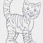 Katzen Vermisstenanzeige Vorlage Cool Katze Ausmalbild – Ausmalbilder Für Kinder