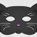 Katzen Vermisstenanzeige Vorlage Einzigartig Katzen Vermisstenanzeige Vorlage Großartig Kinder Fasching