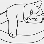 Katzen Vermisstenanzeige Vorlage Elegant Katzenfreund Windowcolor Bilder Zum thema Katzen