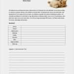 Katzen Vermisstenanzeige Vorlage Erstaunlich Die Katze Und Ein Steckbrief Arbeitsblatt Kostenlose Daf