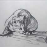 Katzen Vermisstenanzeige Vorlage Gut Aleksandra Wiszniewska Rysunki Węglem © Koty