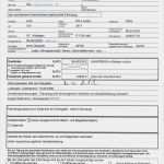 Kaufvertrag Hund Vorlage Angenehm Kaufvertrag Rs4 Yangel