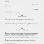 Kaufvertrag Pferd Vorlage Cool Kaufvertrag Pferd Pferdekaufvertrag