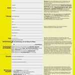 Kaufvertrag Pferd Vorlage Erstaunlich Kaufvertrag Mobile De Kaufvertrag Privat sofi Enterprises