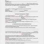 Kaufvertrag Pferd Vorlage Hübsch Kaufvertrag Pferd Pferdeschutzvertrag