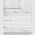 Kaufvertrag Privat Vorlage Word Best Of Kaufvertrag Fahrrad Vorlage Word Neu Küchenideen Küchen