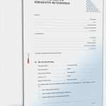 Kaufvertrag Wohnung Vorlage Cool Kaufvertrag Nutzfahrzeug