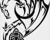 Keltische Drachen Vorlagen Best Of Celtic Dragon Mashup by Kgb Warrior On Deviantart
