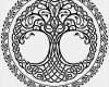 Keltischer Lebensbaum Tattoo Vorlagen Neu Celtic Tree Of Life … вязь