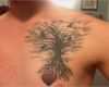 Keltischer Lebensbaum Tattoo Vorlagen Wunderbar Tattoo Ideen 50 Ideen Für Lebensbaum Tattoo