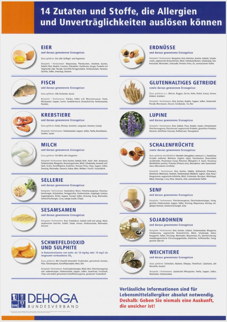 Kennzeichnung Allergene Vorlage Luxus Deklaration Von Zusatzstoffen Und Allergenen Wirtshaus