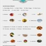 Kennzeichnung Allergene Vorlage Schönste Metzgerei Brunner Partyservice In Lappersdorf Kareth