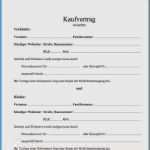Kfz Kaufvertrag Vorlage Einfach Luxus Kfz Mietvertrag Vorlage Word Fabelhaft Kaufvertrag