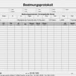 Kilometergeldabrechnung Vorlage Excel Beste Vorlagen – Meinpfleg Nst