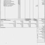Kilometergeldabrechnung Vorlage Excel Wunderbar Abrechnung Firmenwagen Vorlage formular F R