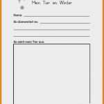 Kindergarten Kündigung Vorlage Schön 15 Praktikum Steckbrief Kindergarten